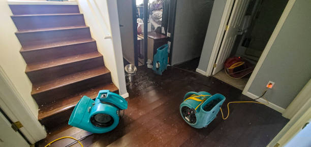 Best 24/7 water damage repair  in Northwest Harwinton, CT