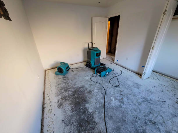 Best Fire Damage Restoration  in Northwest Harwinton, CT