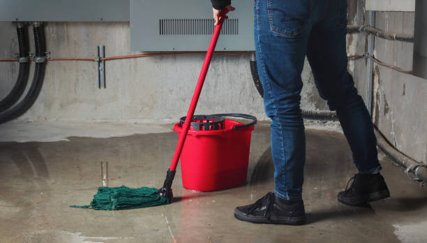 Best Residential water damage restoration  in Northwest Harwinton, CT
