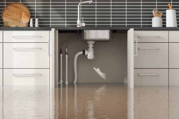Best Professional water damage repair  in Northwest Harwinton, CT