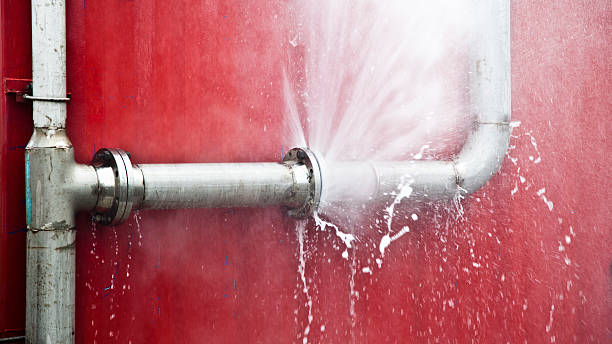 Best Water damage contractors near me  in Northwest Harwinton, CT