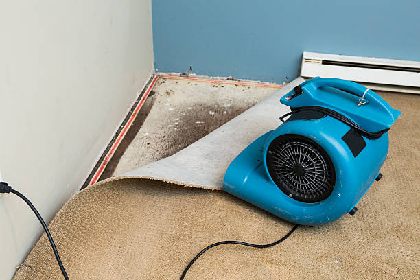 Trusted Northwest Harwinton, CT Water damage restoration Experts